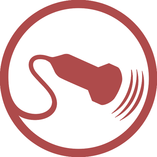 Ultrassonografia Geral